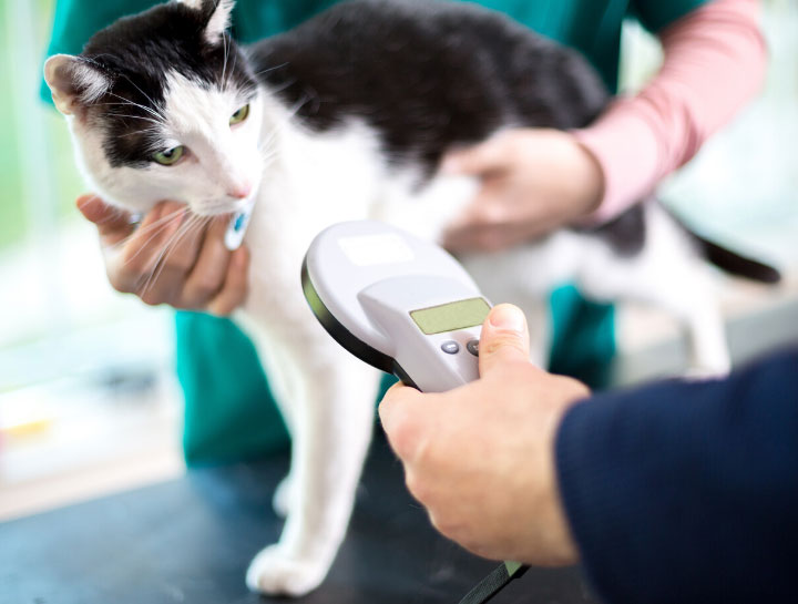 Pet Microchipping